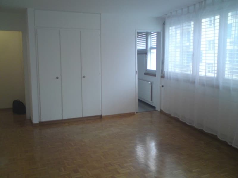 SCHÖNE GROSSE 1.5 Möbliert ZIMMER WOHNUNG IN DER STADT ZÜRICH KREIS 3 ZU VERMIETEN (2)