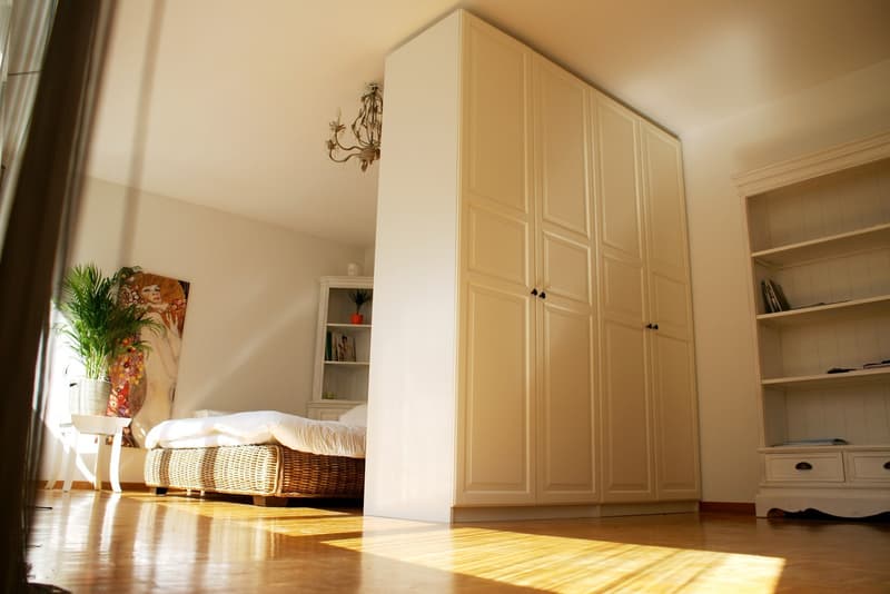 SCHÖNE GROSSE 1.5 Möbliert ZIMMER WOHNUNG IN DER STADT ZÜRICH KREIS 3 ZU VERMIETEN (1)