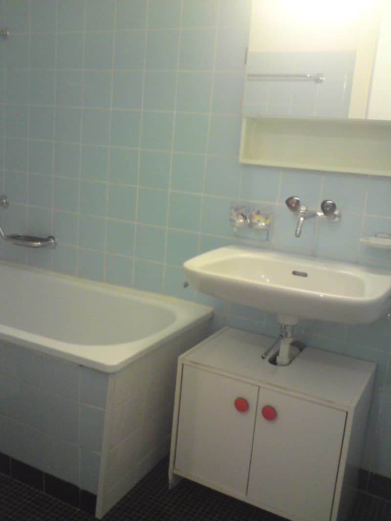 SCHÖNE GROSSE 1.5 Möbliert ZIMMER WOHNUNG IN DER STADT ZÜRICH KREIS 3 ZU VERMIETEN (4)