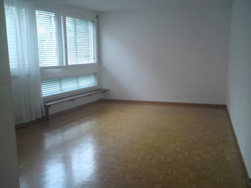 SCHÖNE GROSSE 1.5 Möbliert ZIMMER WOHNUNG IN DER STADT ZÜRICH KREIS 3 ZU VERMIETEN (3)