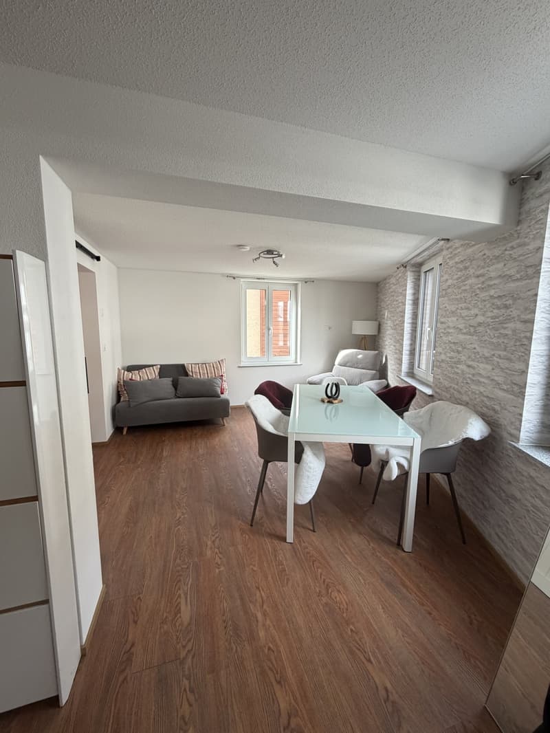 2.5-Zimmer-Wohnung zu vermieten ab 1. Dezember (6)