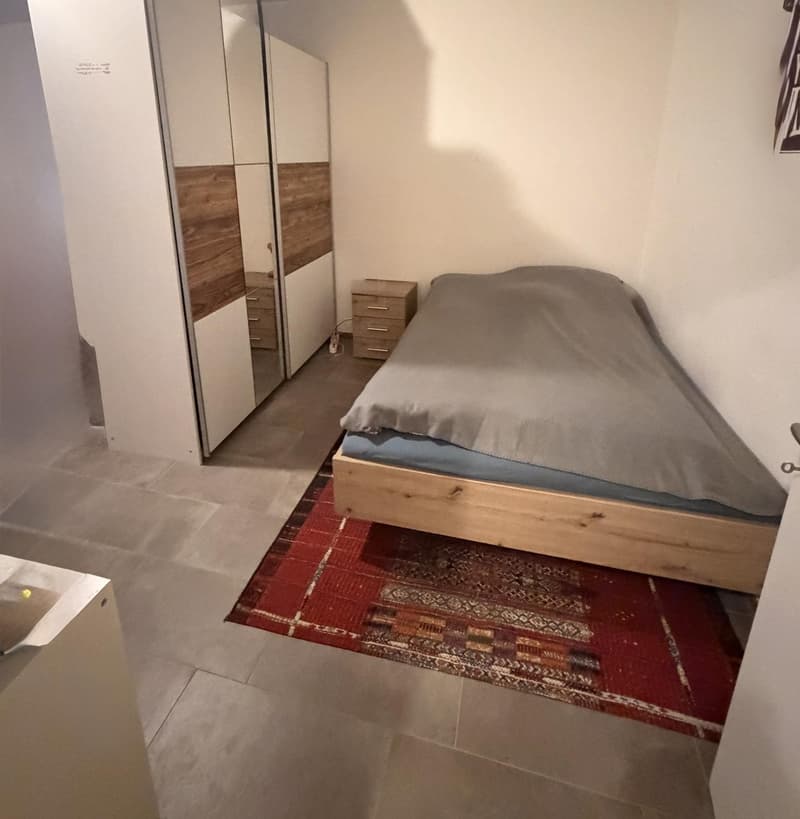 Gemütliche moderne 1-Z-Whg am Burgfelderplatz (3)