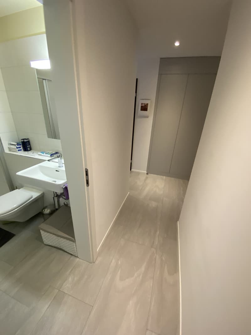 4.5-Zimmer-Wohnung im Neubau mit Lift Nachmieter:in gesucht (4)