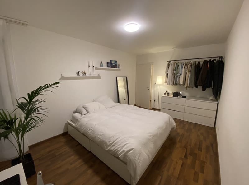 Charmante 2-Zimmer Wohnung (3)