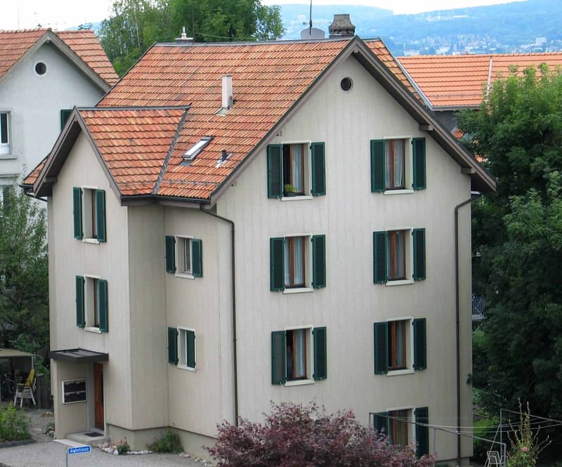 3-Zimmer Wohnung in Zentrum von Thalwil (6)