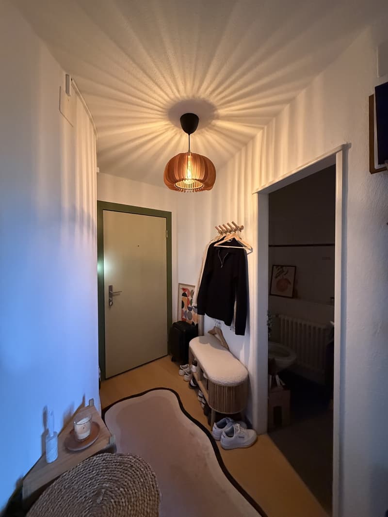 1.5-Room Apartment in Zurich Oerlikon (5)