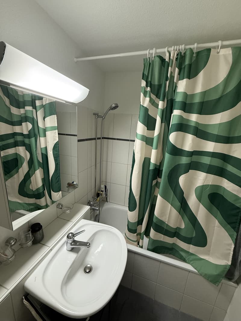 1.5-Room Apartment in Zurich Oerlikon (6)
