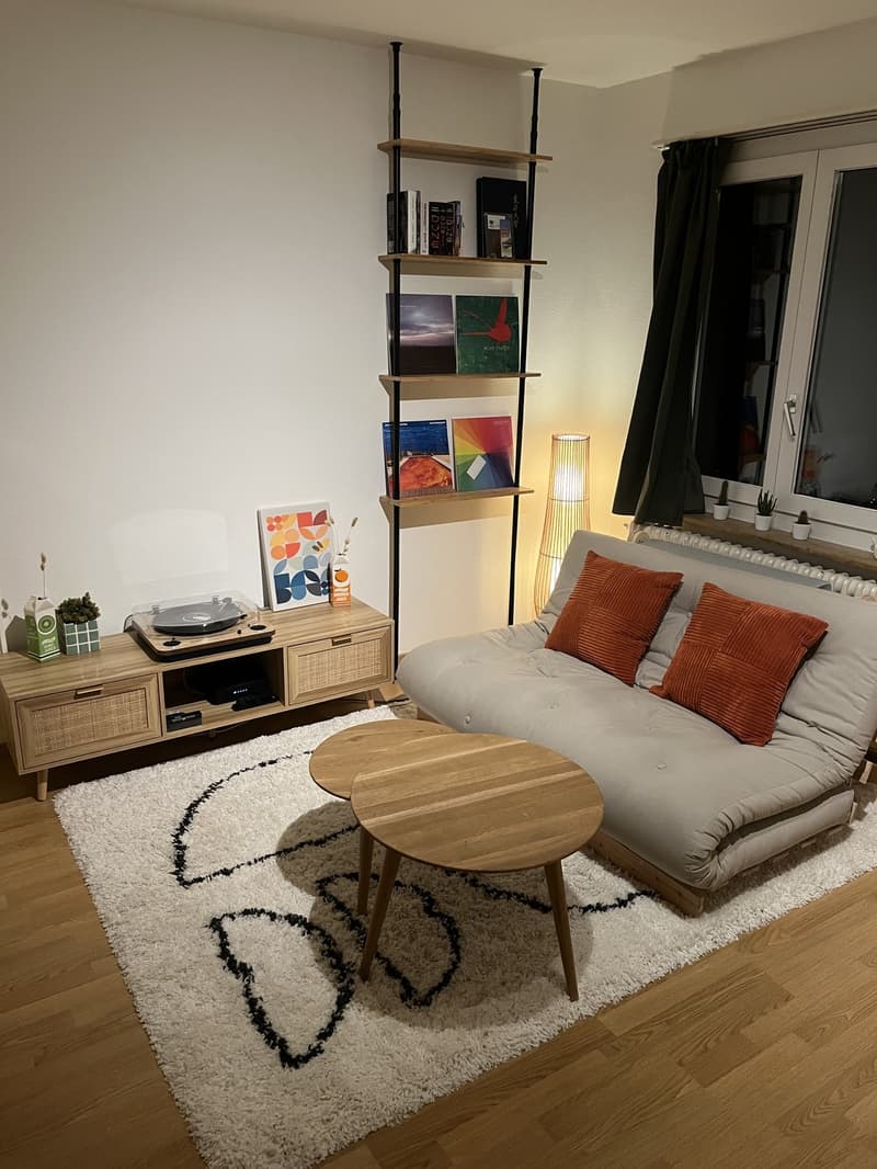 Living Room/Bedroom