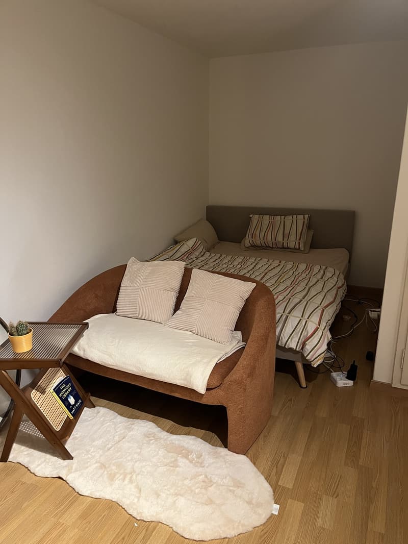 Living Room/Bedroom