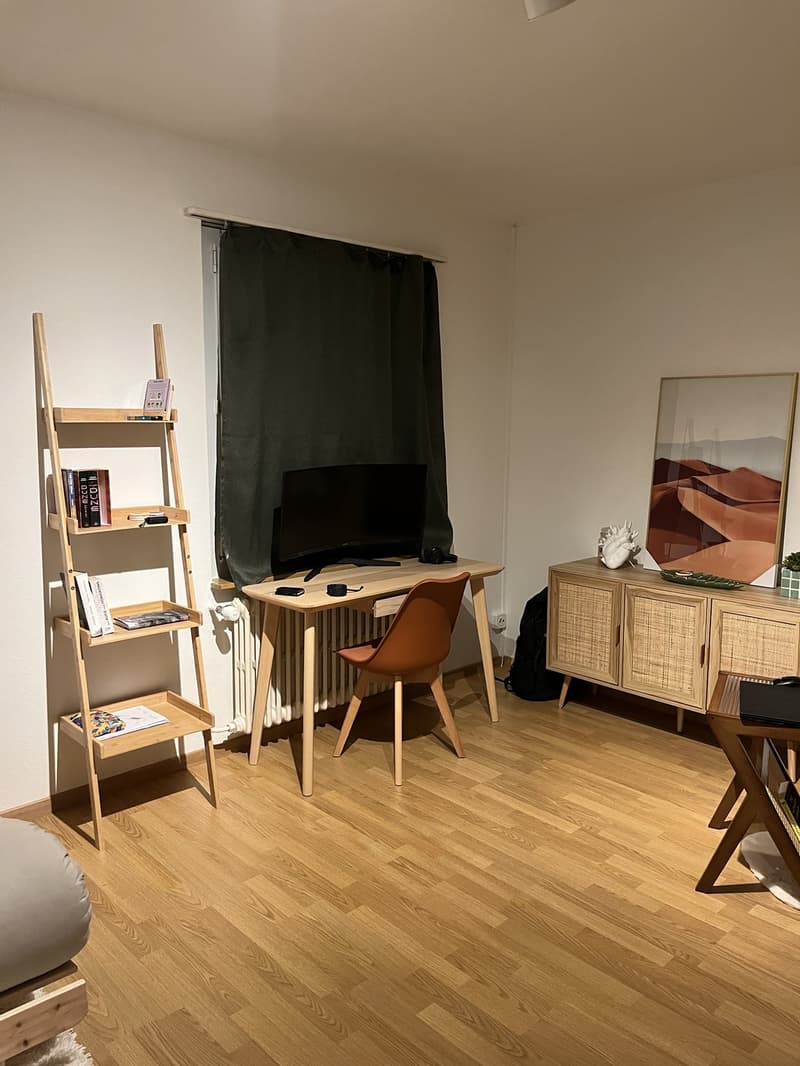 Living Room/Bedroom