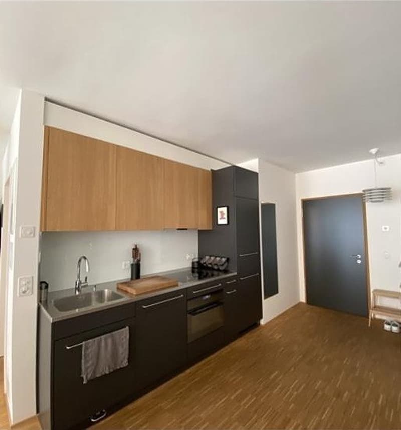 Furnished 1.5-room flat in Kreis 4, Feldstrasse 40, available now (7)