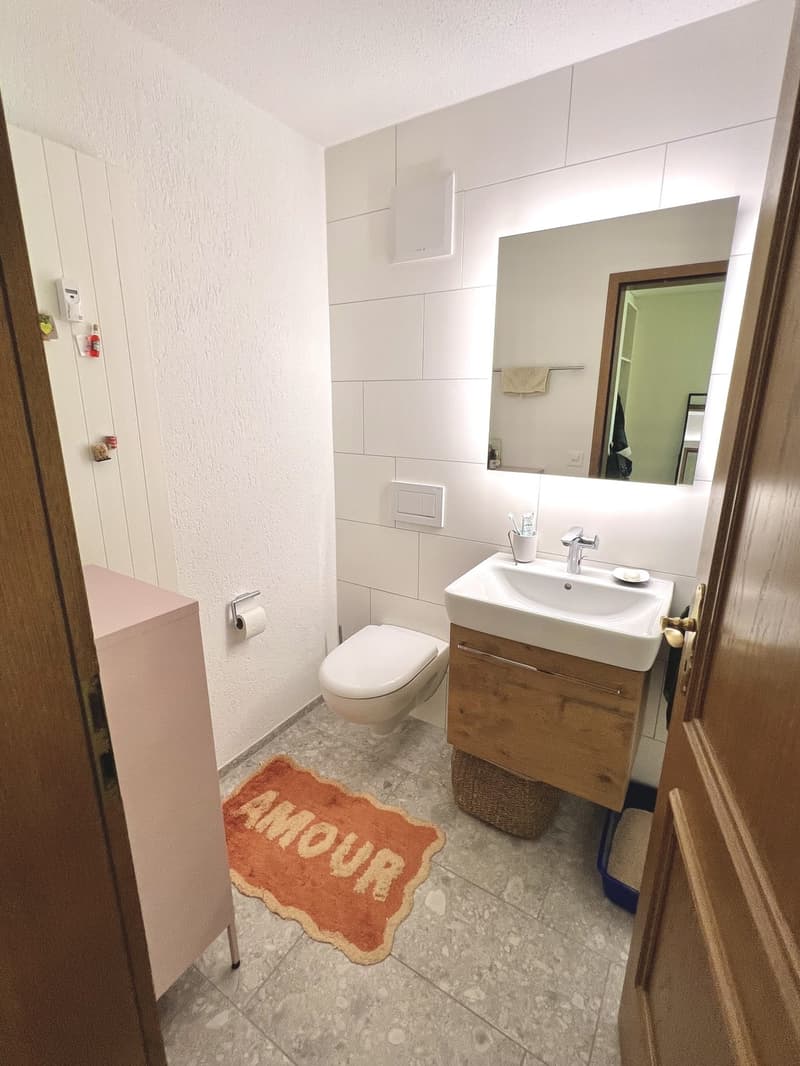 2.5-Zi.-Wohnung in Rapperswil-Jona, Wagen (11)