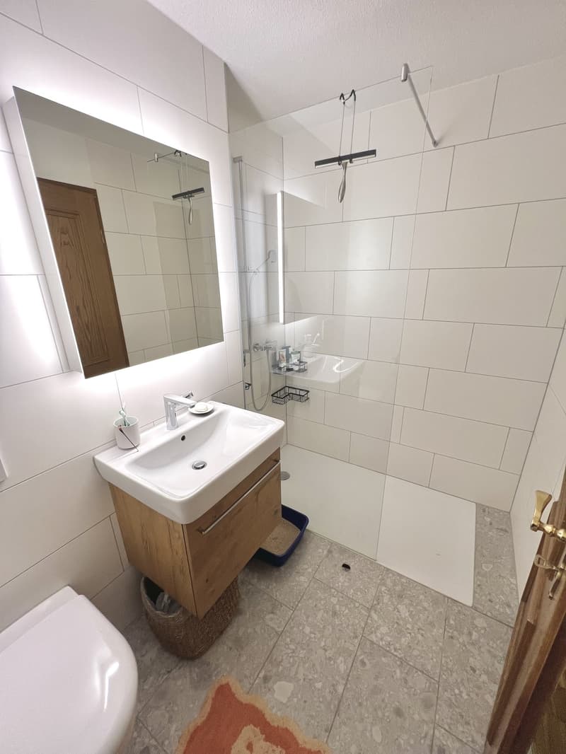 2.5-Zi.-Wohnung in Rapperswil-Jona, Wagen (12)
