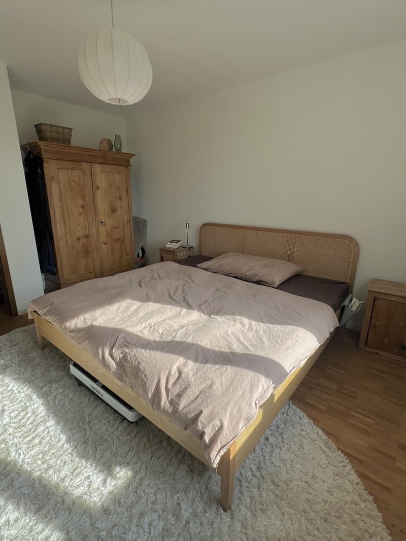 2.5-Zi.-Wohnung in Rapperswil-Jona, Wagen (8)