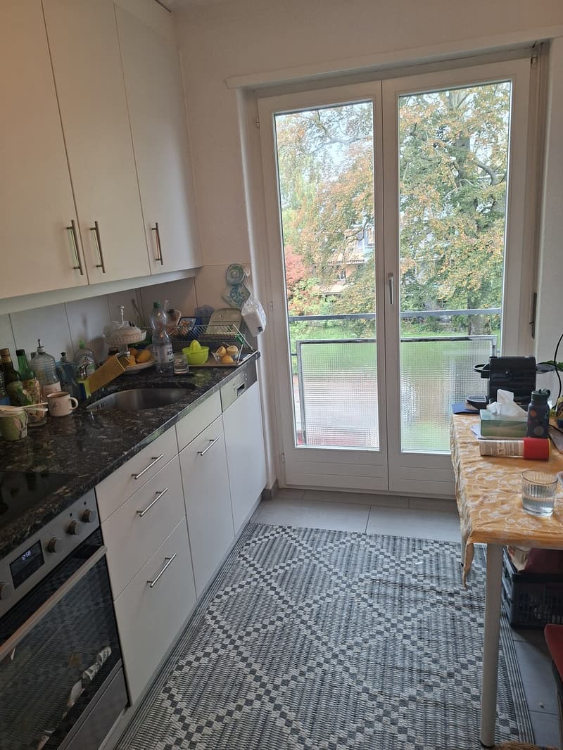 Wunderschöne 4-Zimmerwohnung mit Cheminée (5)