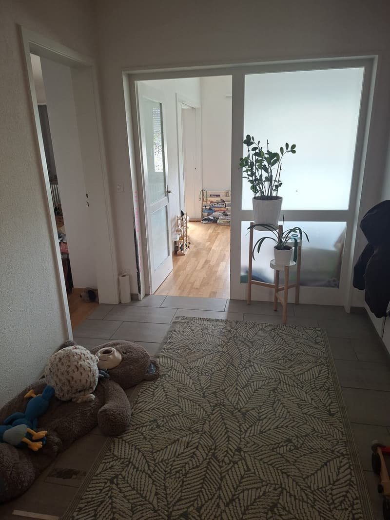 Wunderschöne 4-Zimmerwohnung mit Cheminée (1)