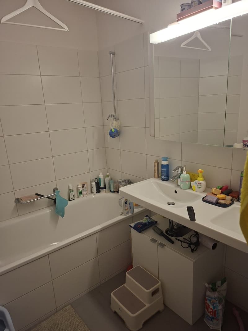 Wunderschöne 4-Zimmerwohnung mit Cheminée (4)