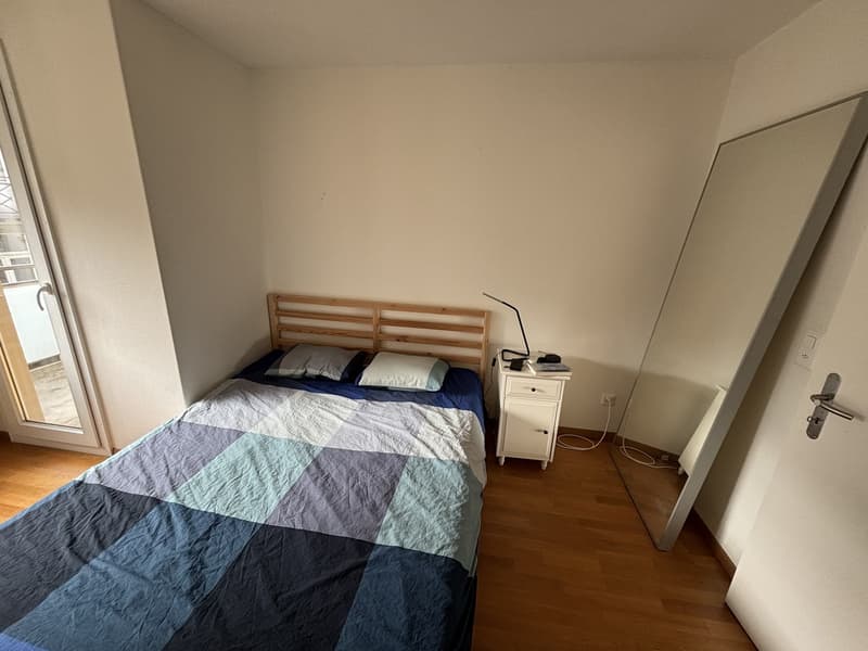 Bright 2-Room Apartment with Large Balcony in Zurich Seefeld (7)
