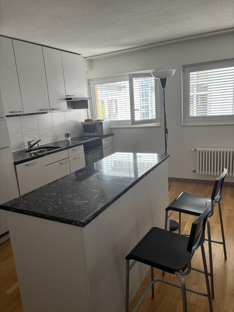 Bright 2-Room Apartment with Large Balcony in Zurich Seefeld (10)