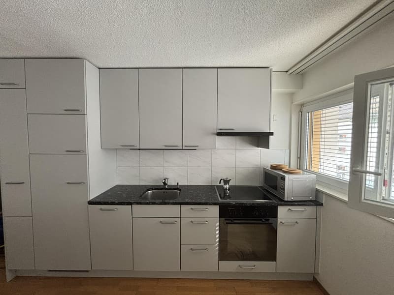 Bright 2-Room Apartment with Large Balcony in Zurich Seefeld (8)