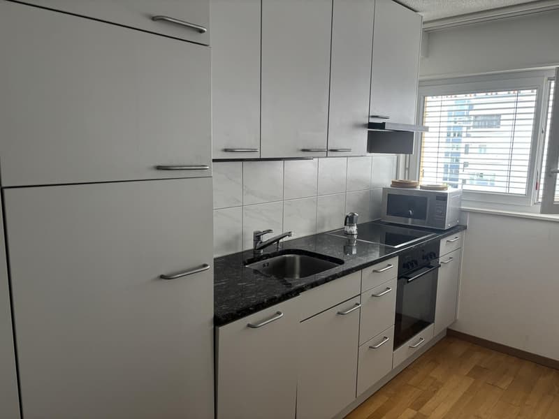 Bright 2-Room Apartment with Large Balcony in Zurich Seefeld (9)