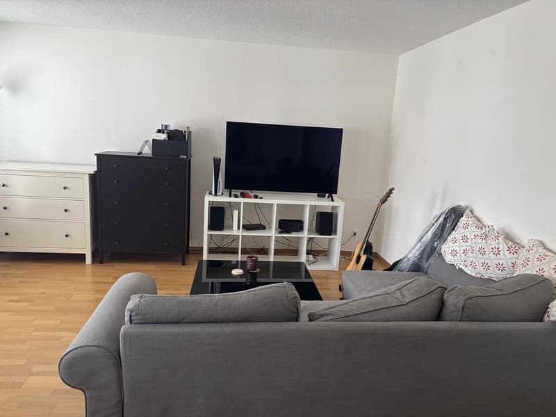 Bright 2-Room Apartment with Large Balcony in Zurich Seefeld (13)