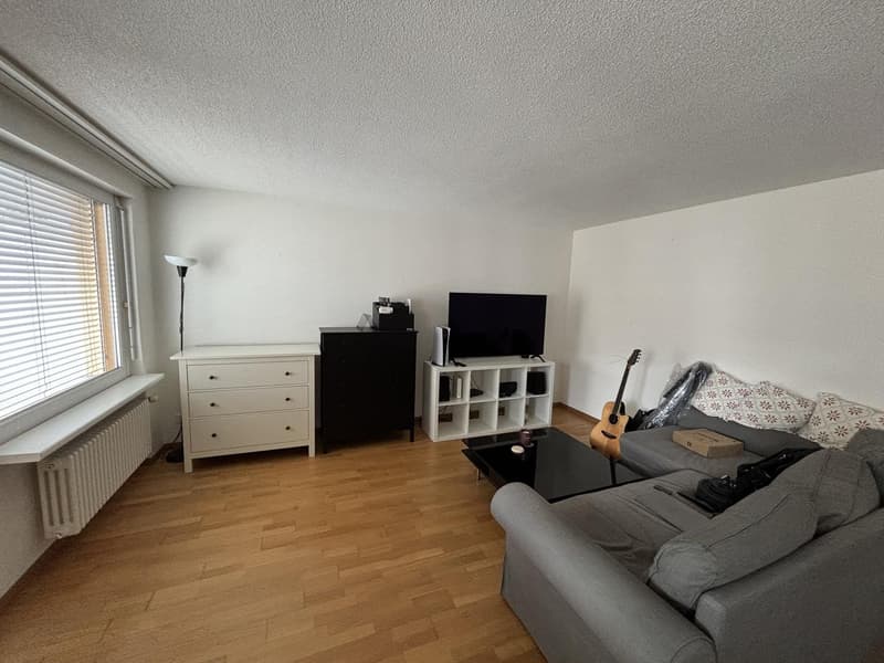 Bright 2-Room Apartment with Large Balcony in Zurich Seefeld (12)