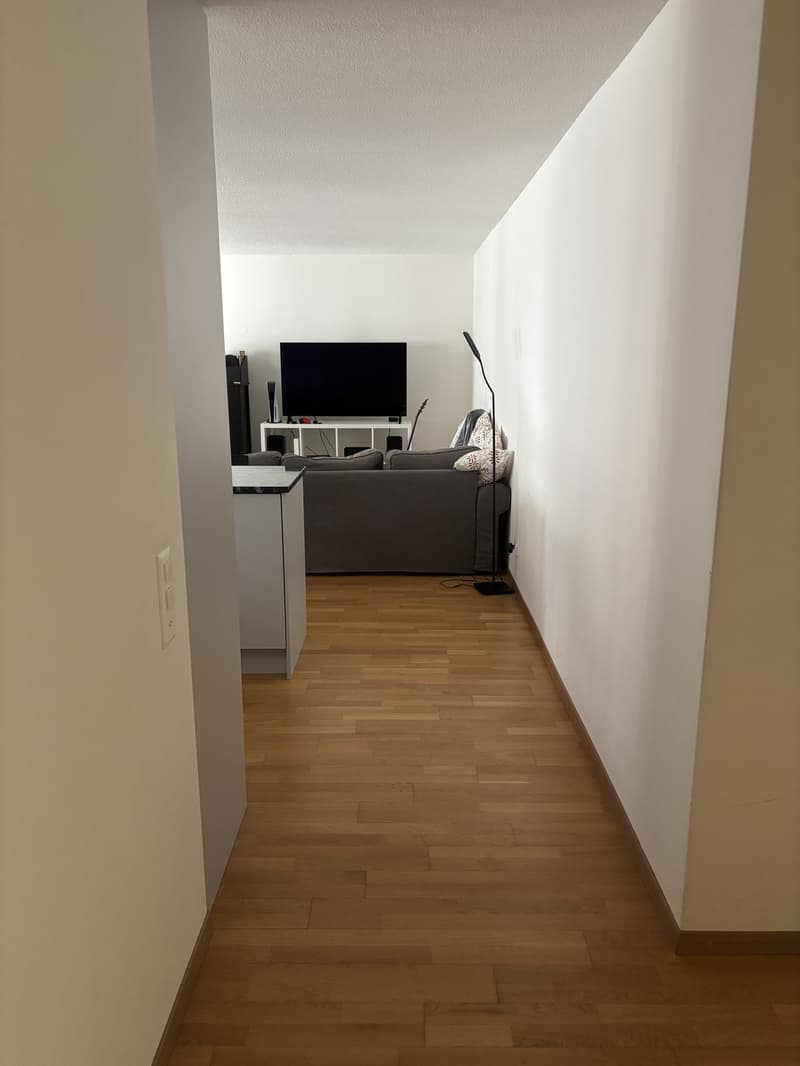 Bright 2-Room Apartment with Large Balcony in Zurich Seefeld (4)