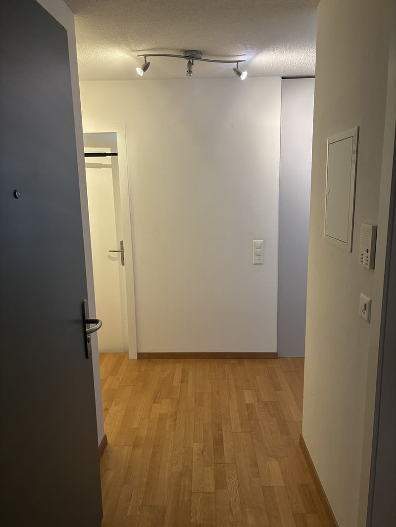Bright 2-Room Apartment with Large Balcony in Zurich Seefeld (2)