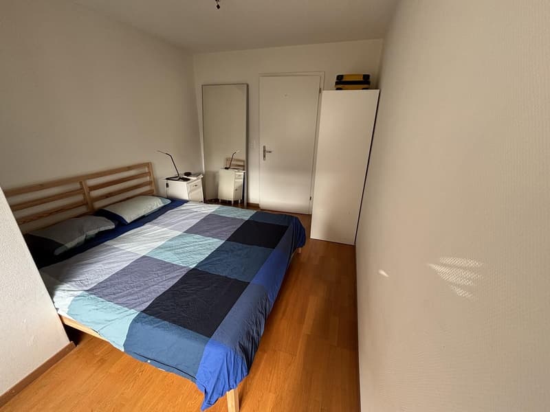 Bright 2-Room Apartment with Large Balcony in Zurich Seefeld (5)