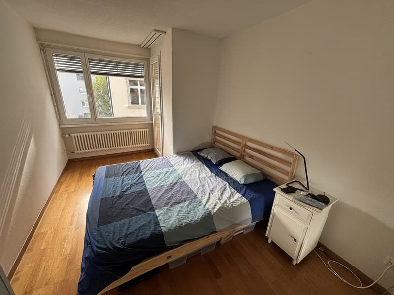 Bright 2-Room Apartment with Large Balcony in Zurich Seefeld (6)