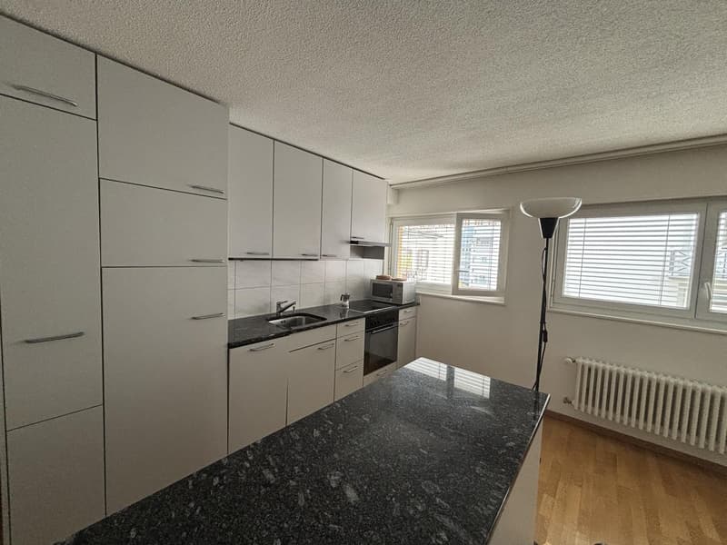 Bright 2-Room Apartment with Large Balcony in Zurich Seefeld (11)