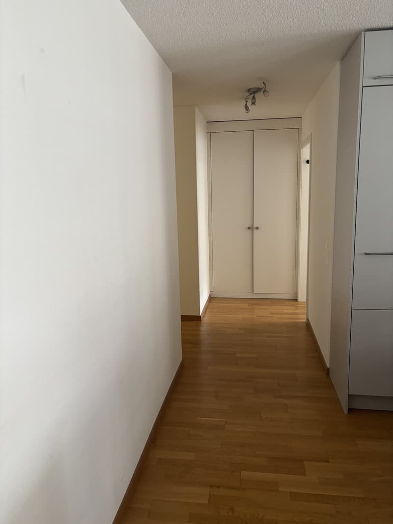 Bright 2-Room Apartment with Large Balcony in Zurich Seefeld (3)