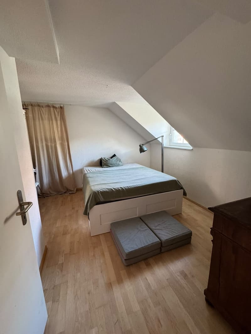 3-Zimmer Dachwohnung im Kreis 4 / Langstrasse (2)