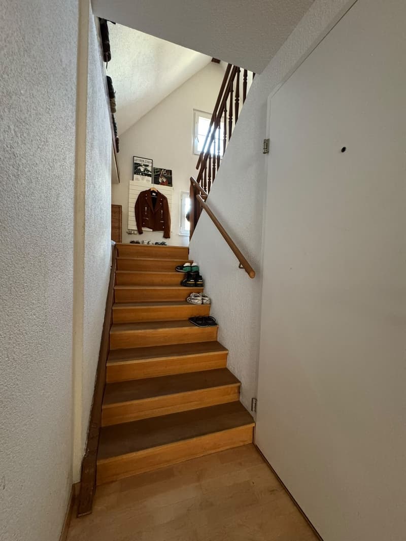 3-Zimmer Dachwohnung im Kreis 4 / Langstrasse (4)