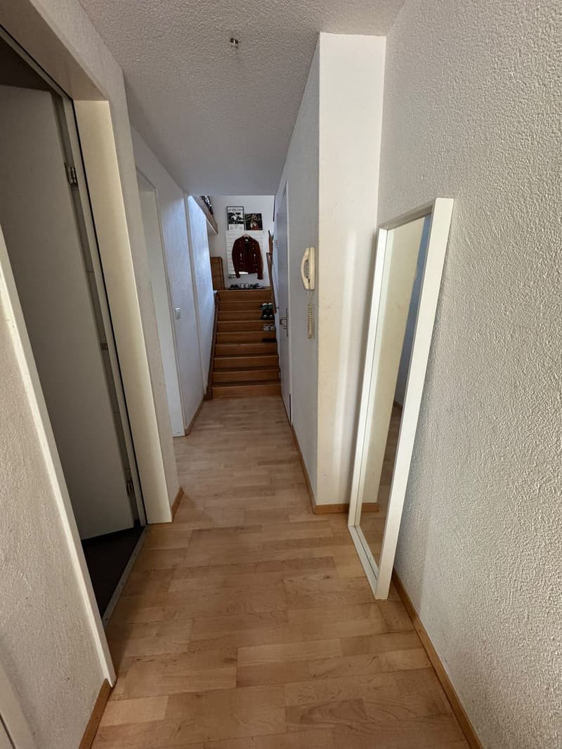 3-Zimmer Dachwohnung im Kreis 4 / Langstrasse (3)