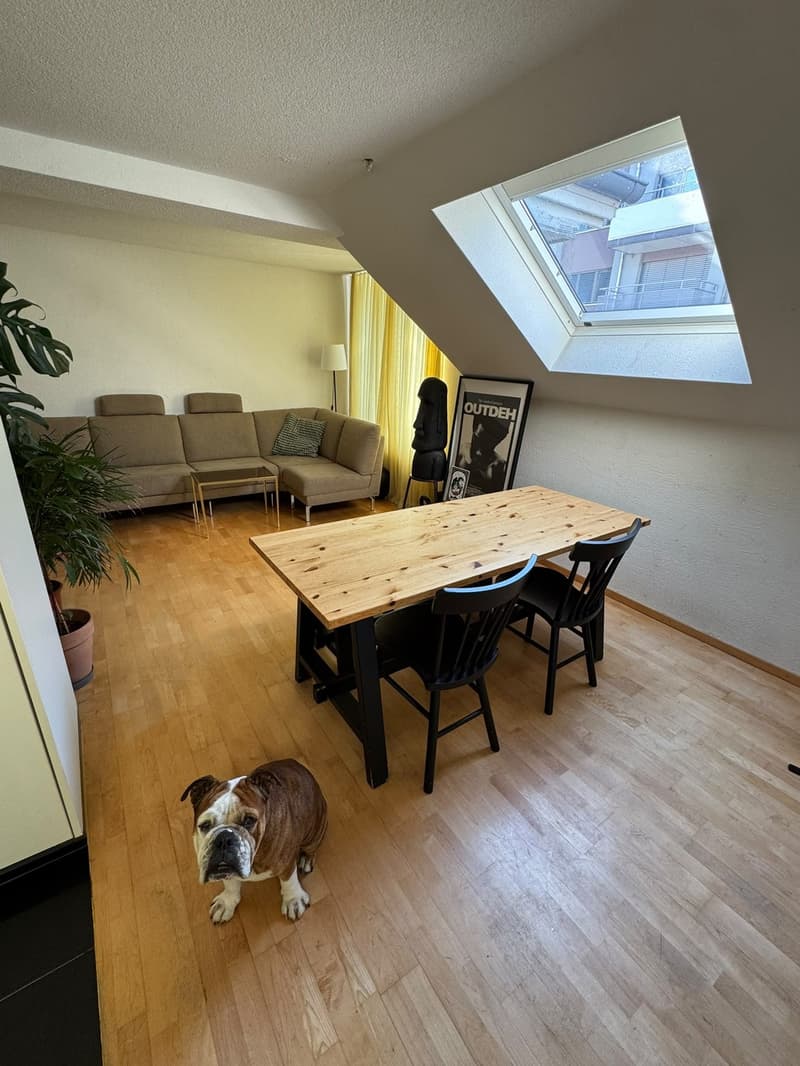 3-Zimmer Dachwohnung im Kreis 4 / Langstrasse (8)