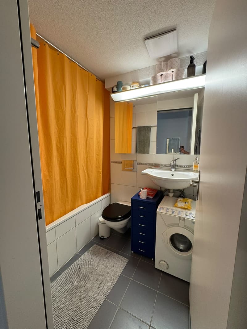 3-Zimmer Dachwohnung im Kreis 4 / Langstrasse (6)