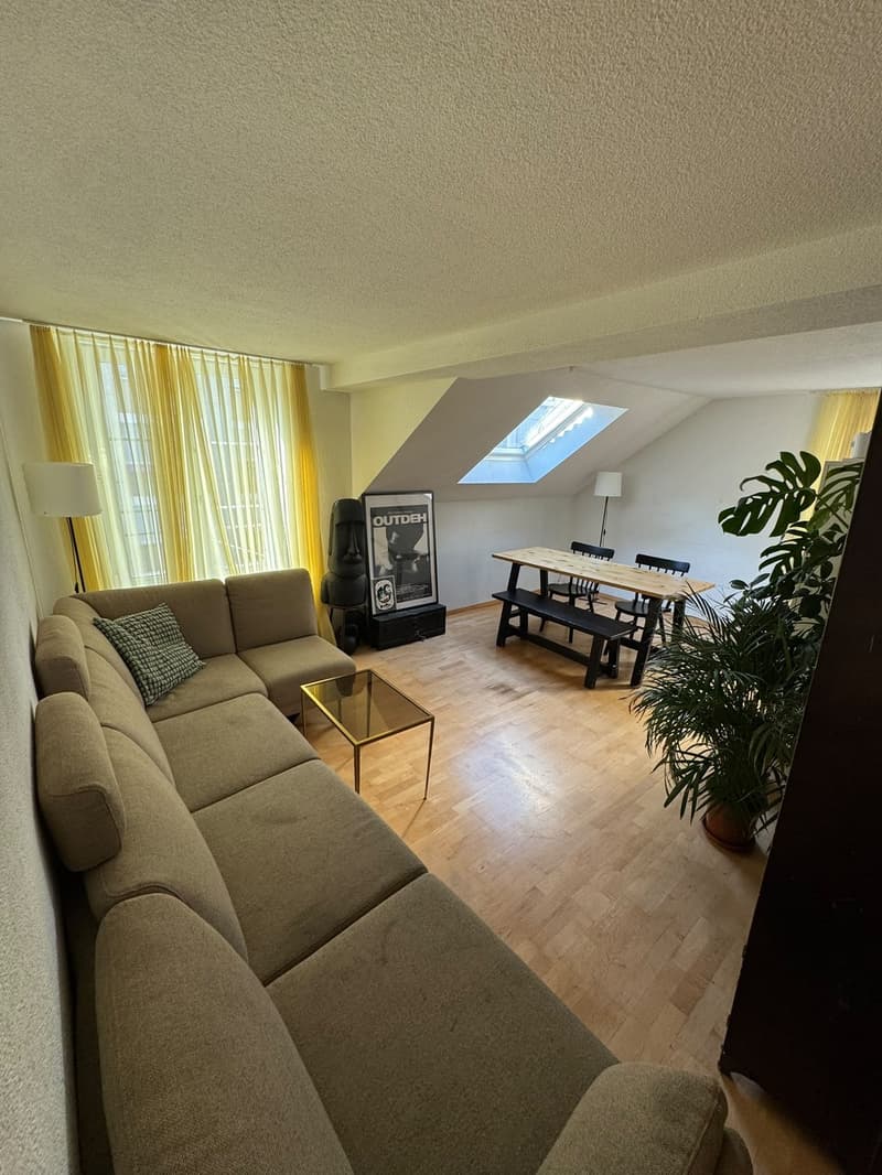 3-Zimmer Dachwohnung im Kreis 4 / Langstrasse (7)