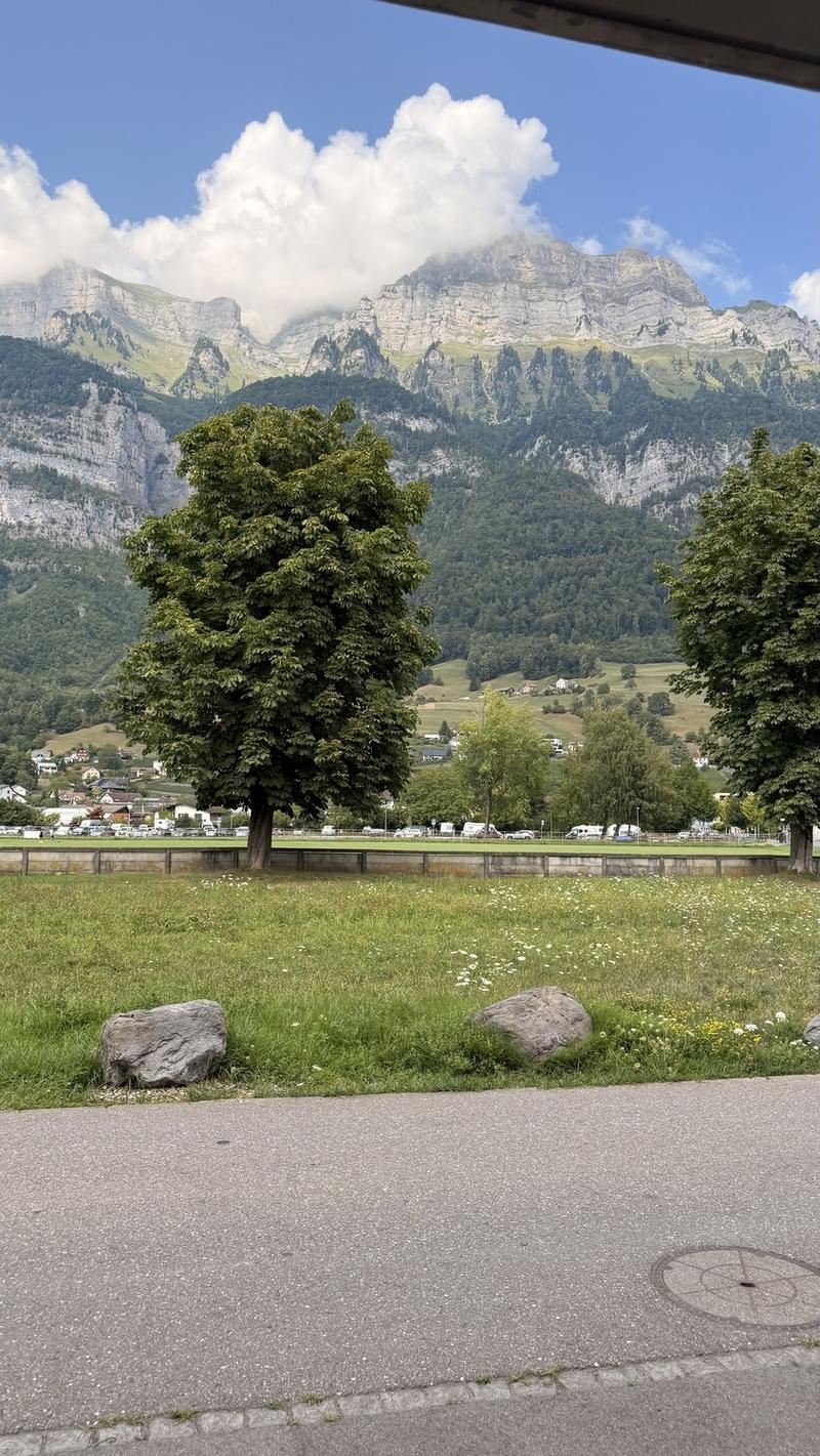 Voll möblierte 2,5-Zimmer-Wohnung in Walenstadt  befristete Untermiete (7)
