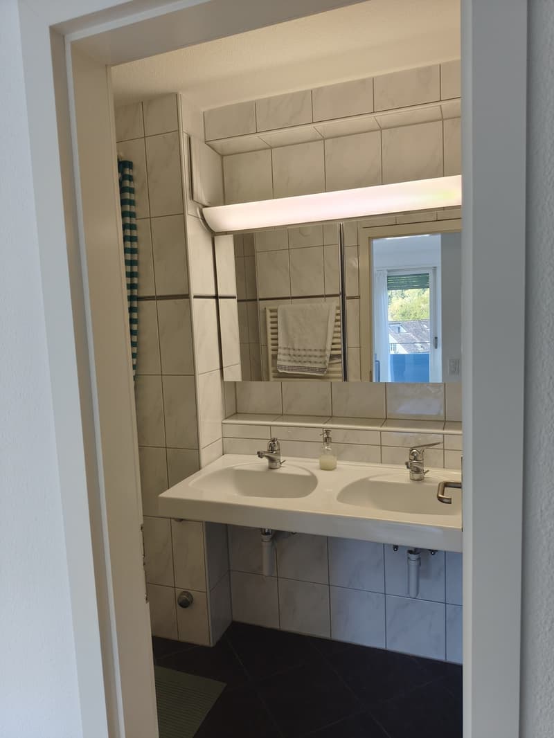 Bright 3.5-Room Apartment with Balcony in Adliswil (10)