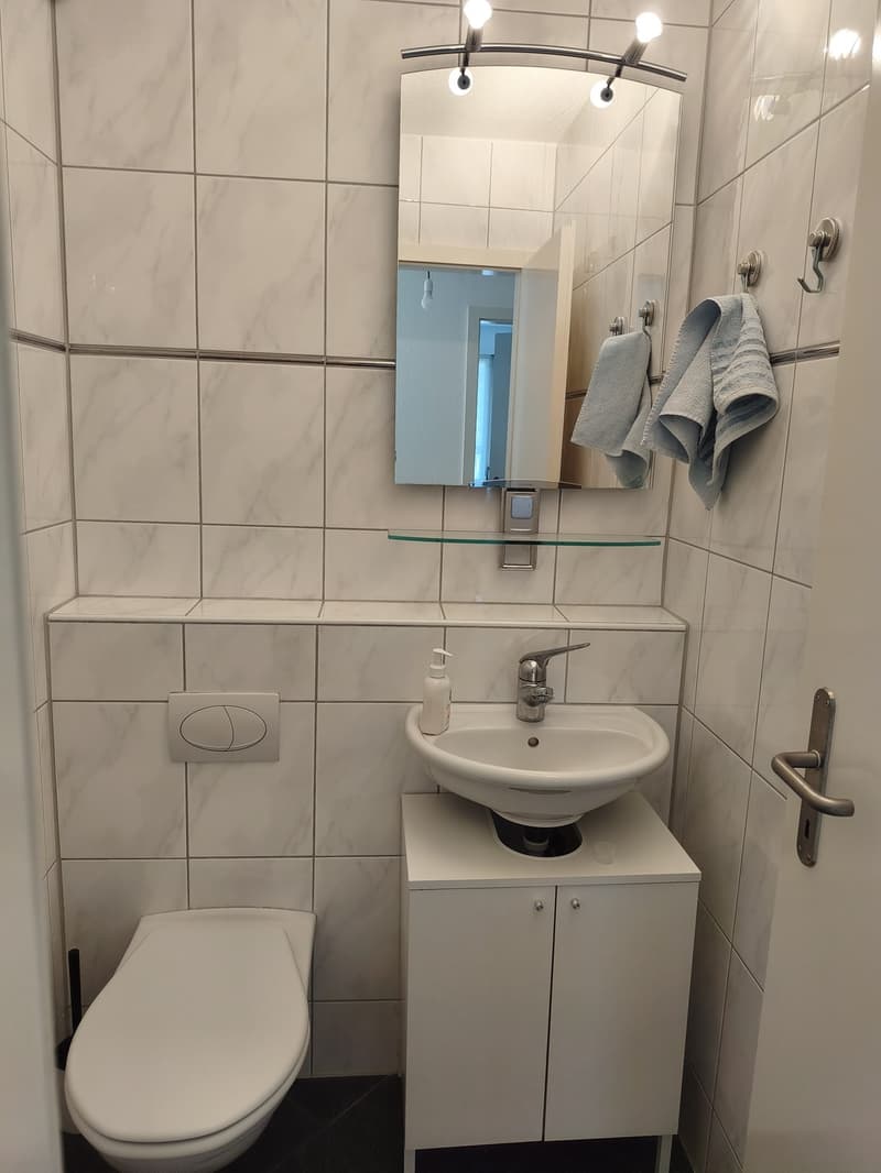 Bright 3.5-Room Apartment with Balcony in Adliswil (9)