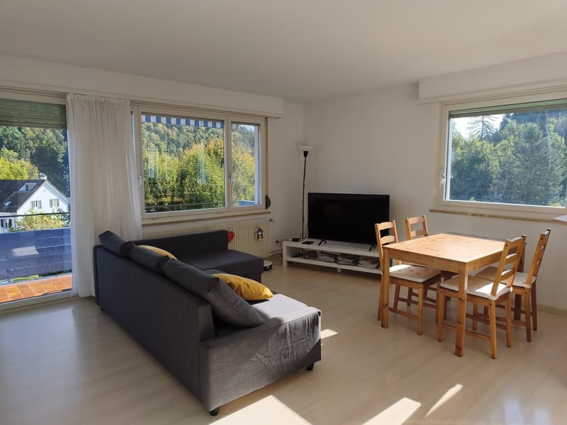 Bright 3.5-Room Apartment with Balcony in Adliswil (1)