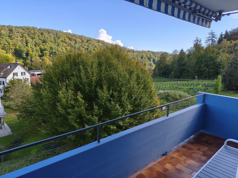 Bright 3.5-Room Apartment with Balcony in Adliswil (5)