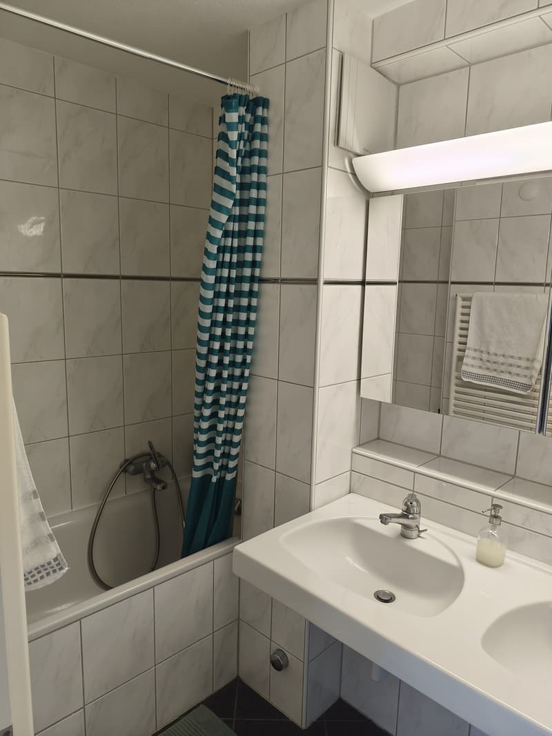 Bright 3.5-Room Apartment with Balcony in Adliswil (11)