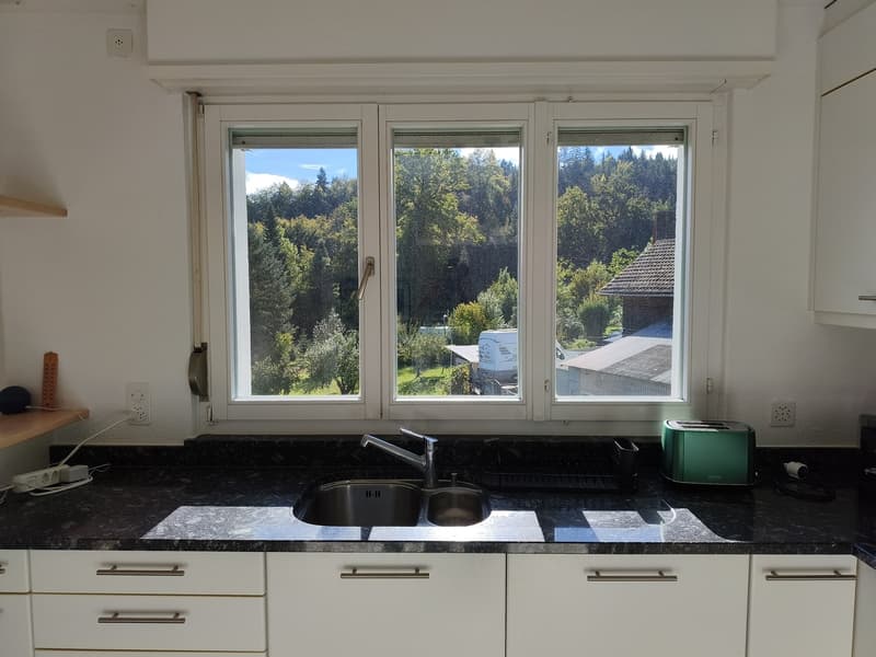 Bright 3.5-Room Apartment with Balcony in Adliswil (4)