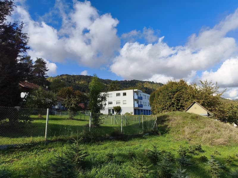 Bright 3.5-Room Apartment with Balcony in Adliswil (12)