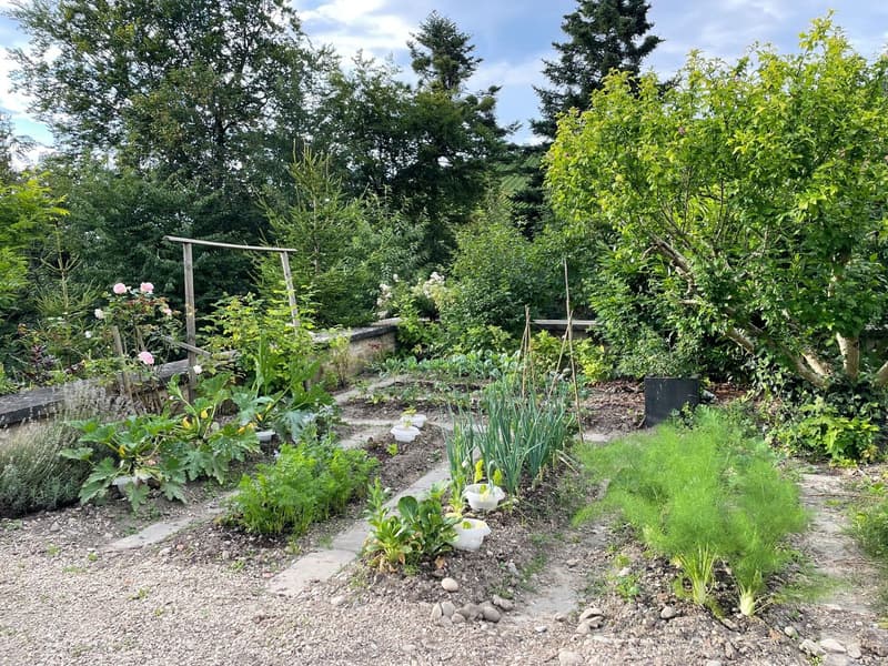 WG-Zimmer in Schloss zu vermieten (5)