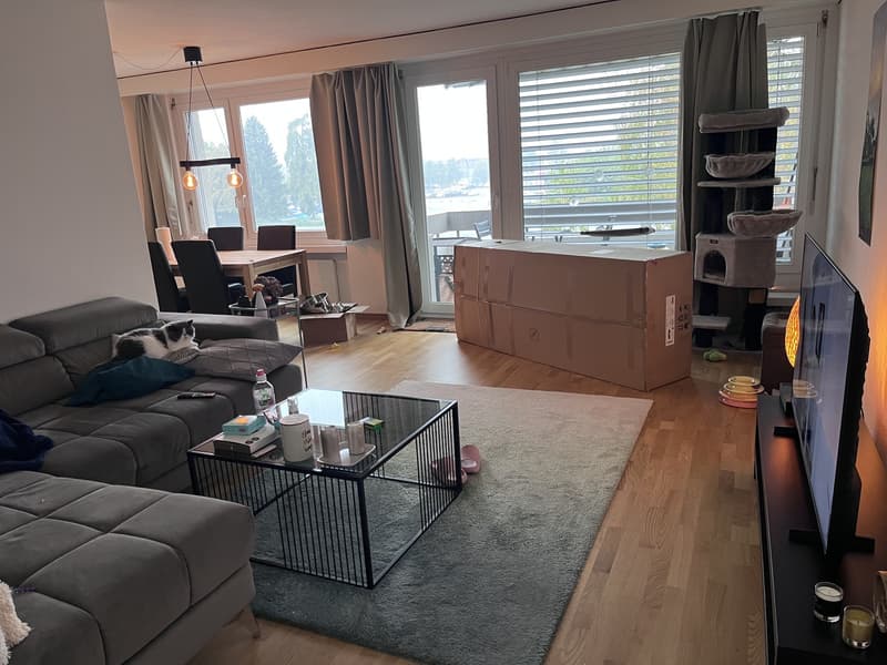Nachmieter gesucht (6)