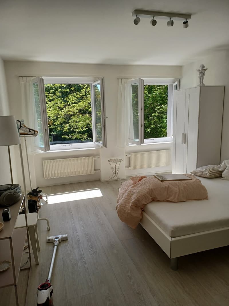Renovierte 1 Zi. Wohnung in Meilen per 15. Nov zu vermieten (4)